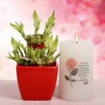 Lucky Bamboo With Candle