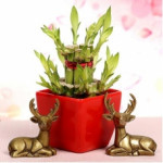 Lucky Bamboo With Deers